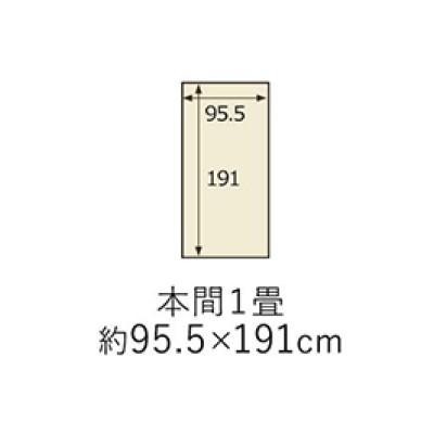 日本製 洗えるカーペット ベージュ 本間1畳 約95.5×191cm 1090580021502 日本製 洗えるカーペット ベージュ 本間1畳 約95.5×191cm 1090580021502