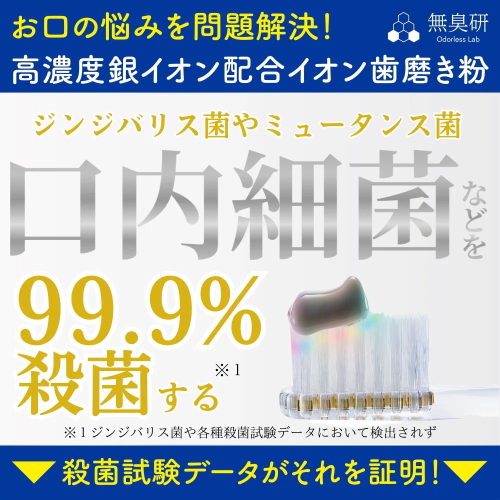 銀イオン歯磨き粉 50g×2本 【高濃度銀イオン配合】 300ppm Ag+ イオン歯磨き 口臭 虫歯 口内細菌 ハミガキ 歯磨き粉 フッ素未配合 国内生産品 ペースト 銀イオン歯磨き