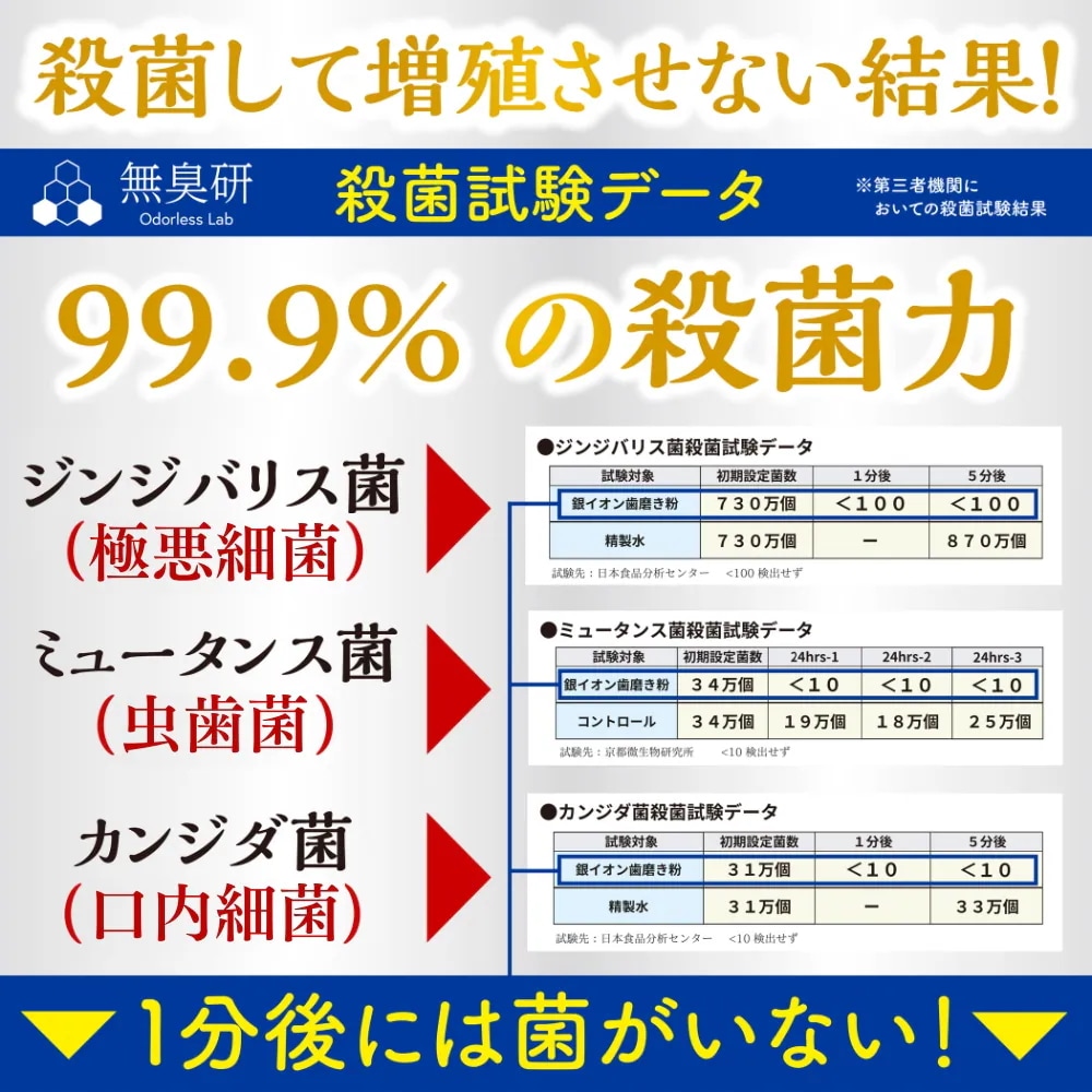 銀イオン歯磨き粉 50g×2本 【高濃度銀イオン配合】 300ppm Ag+ イオン歯磨き 口臭 虫歯 口内細菌 ハミガキ 歯磨き粉 フッ素未配合 国内生産品 ペースト 銀イオン歯磨き