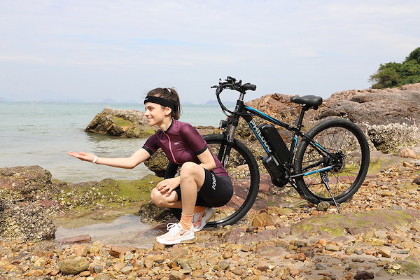 Qoo10] PHILODO 29インチ電動自転車 電動アシスト自転車
