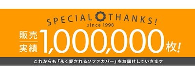 限定品通販 ソファーカバー おしゃれ 2人掛け用 肘 : 家具・インテリア 限定品即納