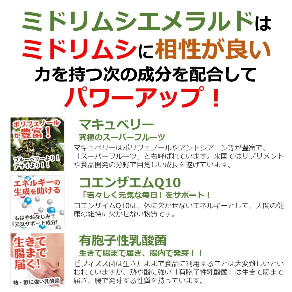 ミドリムシエメラルド 120粒入 6個セット ミドリムシ専科 ユーグレナ サプリ サプリメント パッケージリニューアル 増量