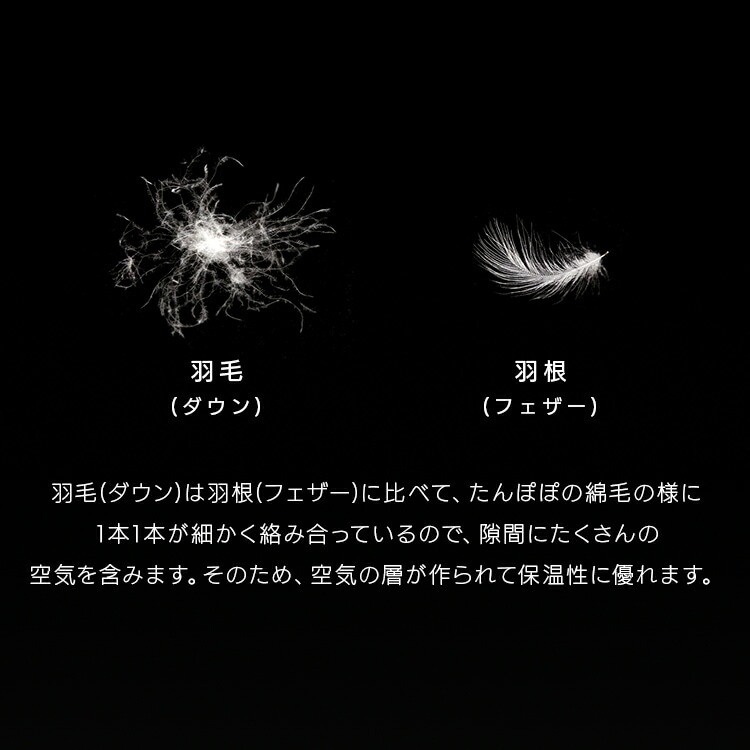 羽毛ふとん KKF-WD9004-SDL アイボリー 新生活 羽毛ふとん KKF-WD9004-SDL アイボリー 新生活