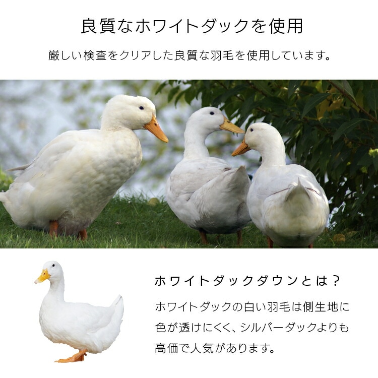 羽毛ふとん KKF-WD9004-SDL アイボリー 新生活 羽毛ふとん KKF-WD9004-SDL アイボリー 新生活