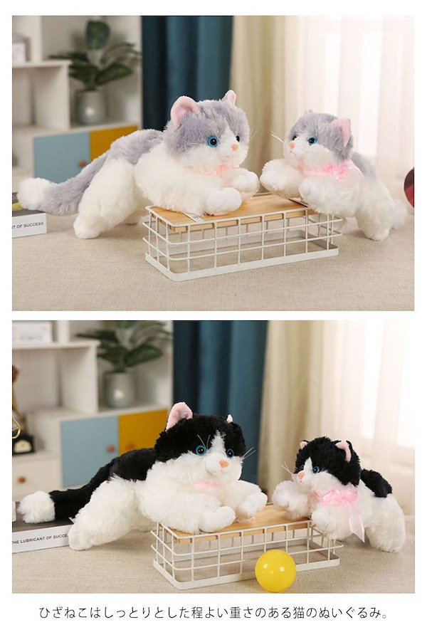ひざねこ　キティ　ぬいぐるみ ひざねこ ぬいぐるみ(M) オッドアイWH - サンレモン