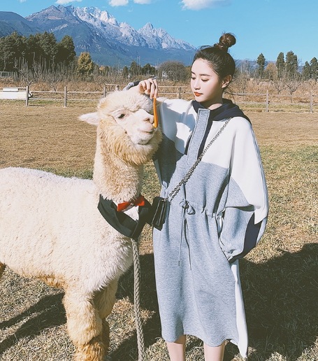 【取寄:納期2週間】ワンピース レディース フード付き ゆったり マタニティ 長袖 カジュアル お出掛け ロングワンピース プルオーバー おしゃれ オーバーサイズ ワンピース レディース フード付き 【取寄:納期2週間】ワンピース レディース フード付き ゆったり マタニティ 長袖 カジュアル お出掛け ロングワンピース プルオーバー おしゃれ オーバーサイズ ワンピース レディース フード付き