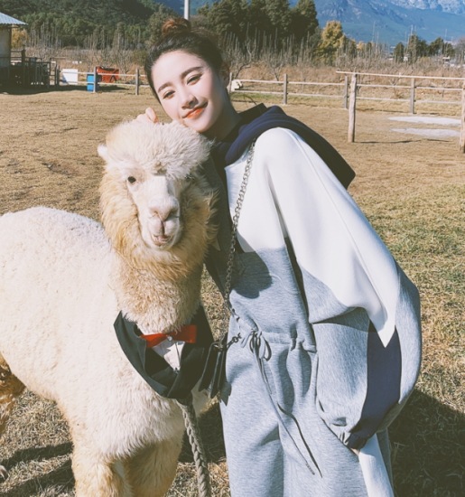 【取寄:納期2週間】ワンピース レディース フード付き ゆったり マタニティ 長袖 カジュアル お出掛け ロングワンピース プルオーバー おしゃれ オーバーサイズ ワンピース レディース フード付き 【取寄:納期2週間】ワンピース レディース フード付き ゆったり マタニティ 長袖 カジュアル お出掛け ロングワンピース プルオーバー おしゃれ オーバーサイズ ワンピース レディース フード付き