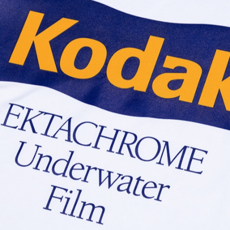 コダックアパレルサマーラッシュガード半袖Tシャツホワイト コダックアパレルサマーラッシュガード半袖Tシャツホワイト