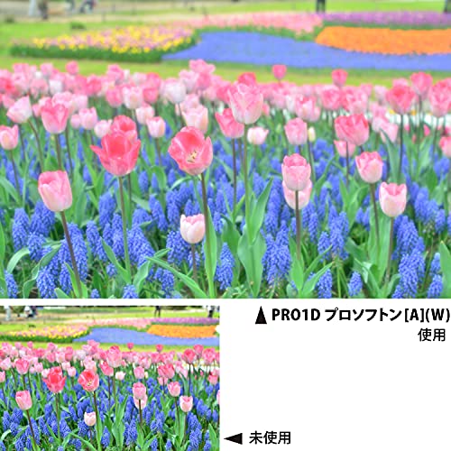 サイズ：77mm Kenko カメラ用フィルター PRO1D プロソフトン [A] (W) 77mm