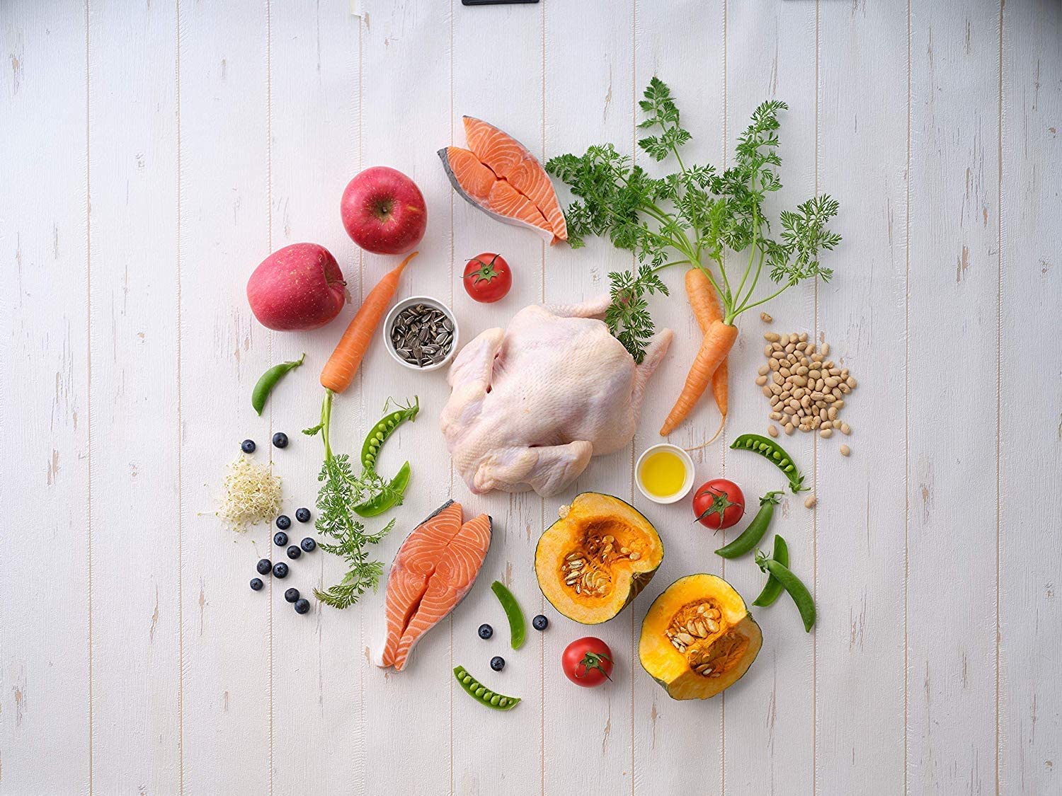 ソルビダ グレインフリー チキン 室内飼育子犬用 5.8kg【在庫限り】