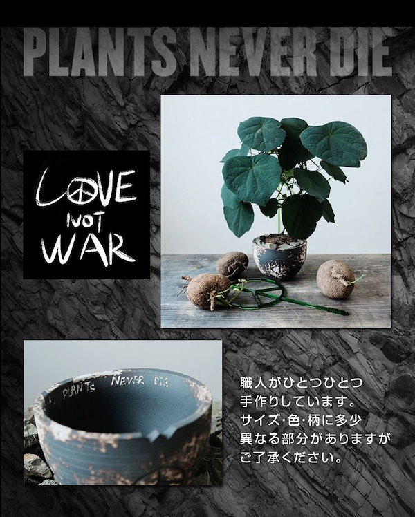 Qoo10] 【plants never die】【正