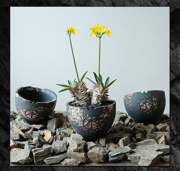 陶器鉢 PLANTS NEVER DIE 2鉢セット 【公式通販】