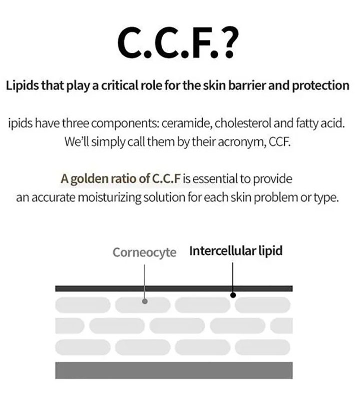 131モイスチャライザー 100ml K-Beauty