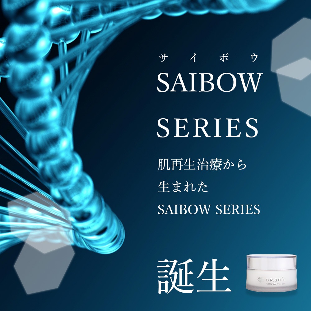 SAIBOW CREAM （ サイボウ クリーム ）30ml ヒト幹細胞 植物幹細胞 EGF AC-11 ナイアシンアミド レチノール スベルトニール カルノシン クリニックのレベルのホームケア