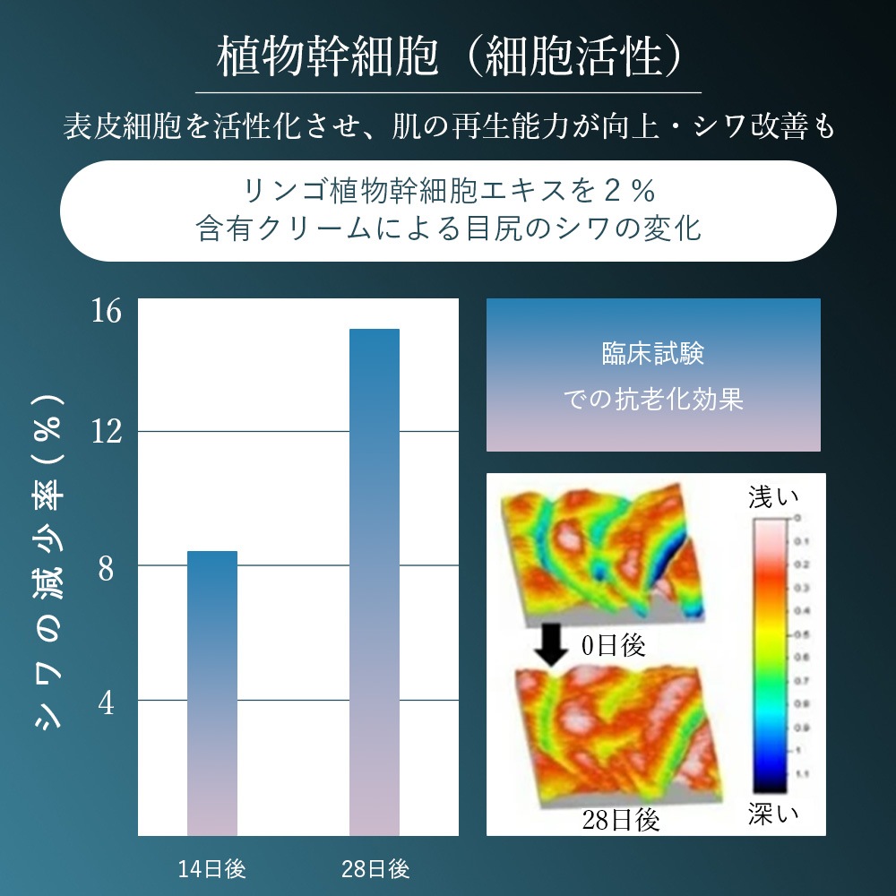 SAIBOW CREAM （ サイボウ クリーム ）30ml ヒト幹細胞 植物幹細胞 EGF AC-11 ナイアシンアミド レチノール スベルトニール カルノシン クリニックのレベルのホームケア