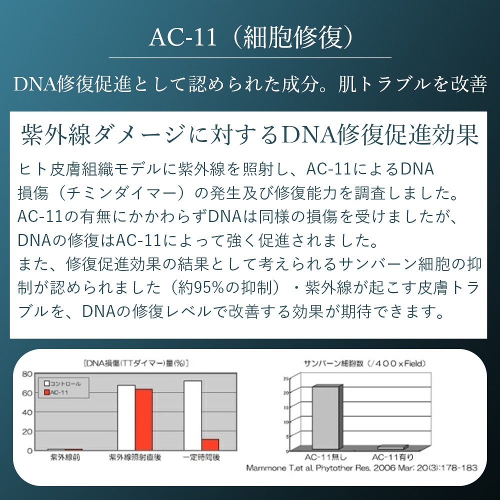 SAIBOW CREAM （ サイボウ クリーム ）30ml ヒト幹細胞 植物幹細胞 EGF AC-11 ナイアシンアミド レチノール スベルトニール カルノシン クリニックのレベルのホームケア