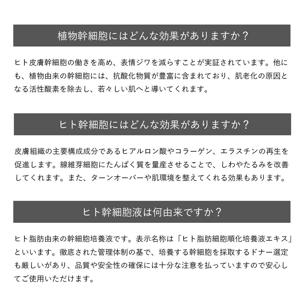 SAIBOW CREAM （ サイボウ クリーム ）30ml ヒト幹細胞 植物幹細胞 EGF AC-11 ナイアシンアミド レチノール スベルトニール カルノシン クリニックのレベルのホームケア
