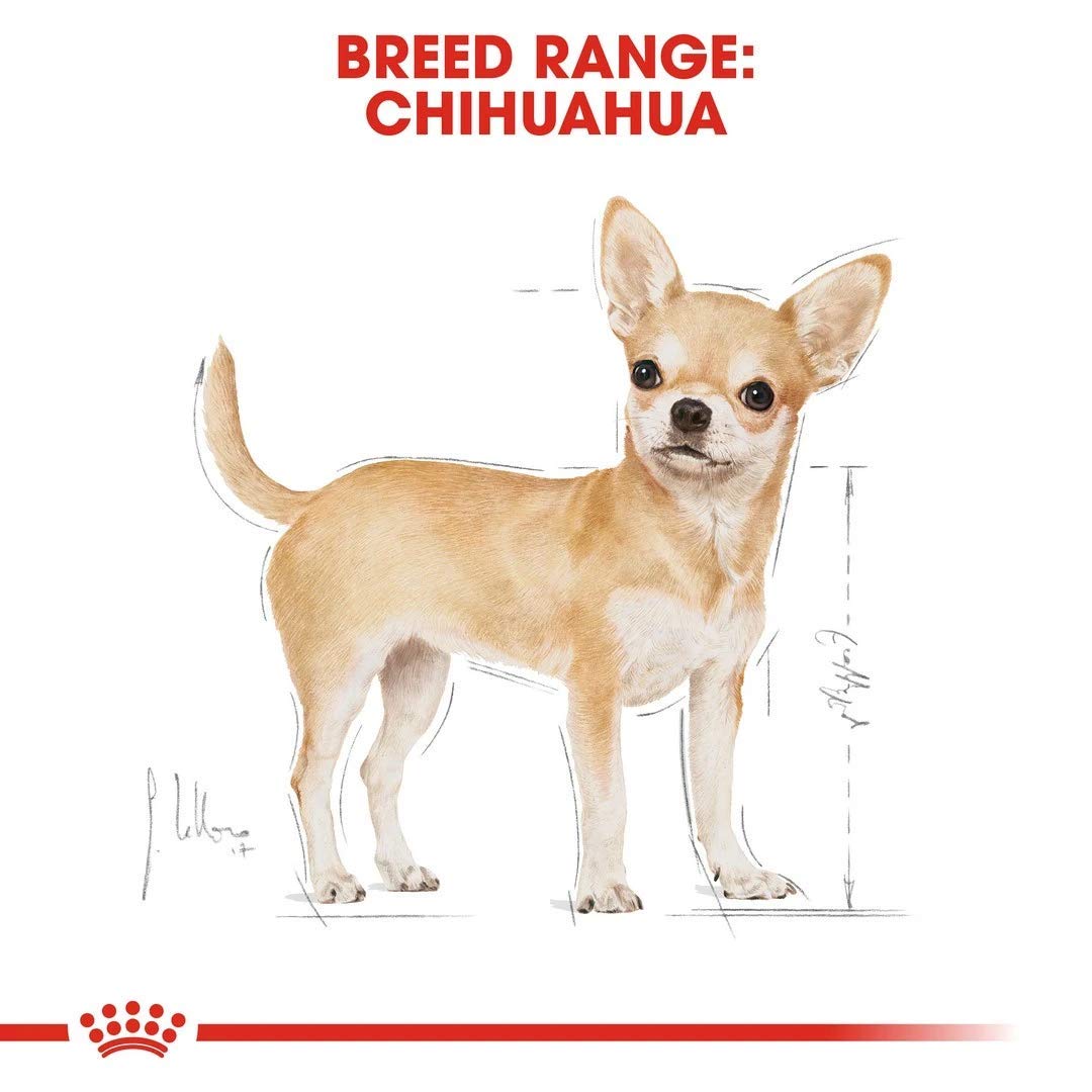 ロイヤルカナン BHN チワワ 成犬用 3kg