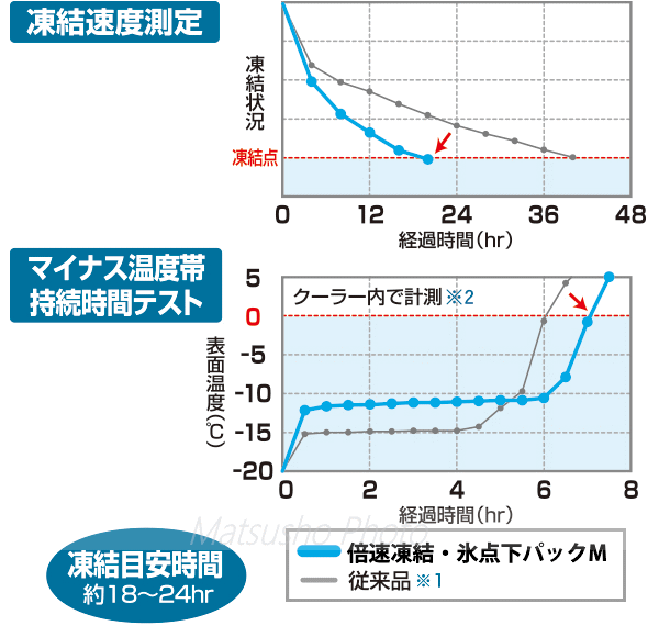 アウトドア キャンプ 保冷剤 氷点下パック 保冷グッズ LOGOS 倍速凍結・氷点下パックL×4 お買い得4点セット 6556BC007 ロゴス