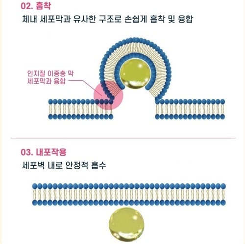 ディープシー リポソーム グルタチオン マックス 90 フィルム 30枚 x 3箱 ディープシー リポソーム グルタチオン マックス 90 フィルム 30枚 x 3箱