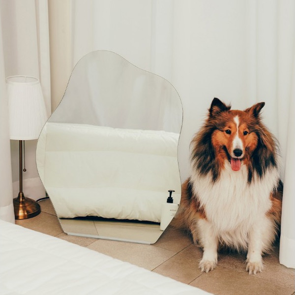 ウェーブミラー Lサイズ(70x56cm) 韓国人気 ウッドスタンド付き