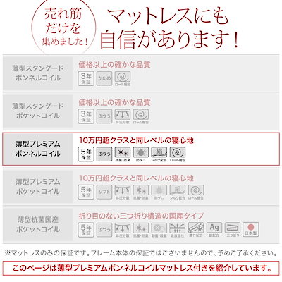 定番再入荷 500031681130692 : 組立設置料込み国産 跳ね上げ収納ベッド : 寝具・ベッド・マットレス HOT在庫
