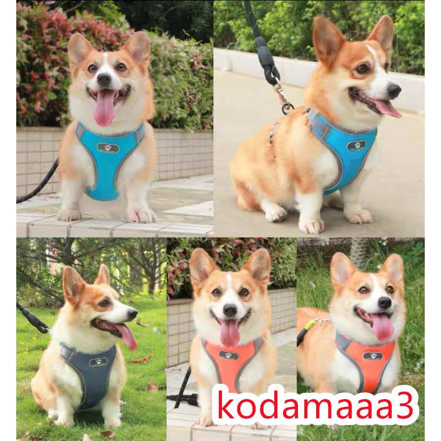 犬 ハーネス 中型犬 小型犬 柴犬 抜けない 抜けにくい ロック 負担少ない ステップハーネス ウェアハーネス 犬用 介護用 首輪 ハンドル付き ネコポス 犬 ハーネス 中型犬 小型犬 柴犬 抜けない 抜けにくい ロック 負担少ない ステップハーネス ウェアハーネス 犬用 介護用 首輪 ハンドル付き ネコポス