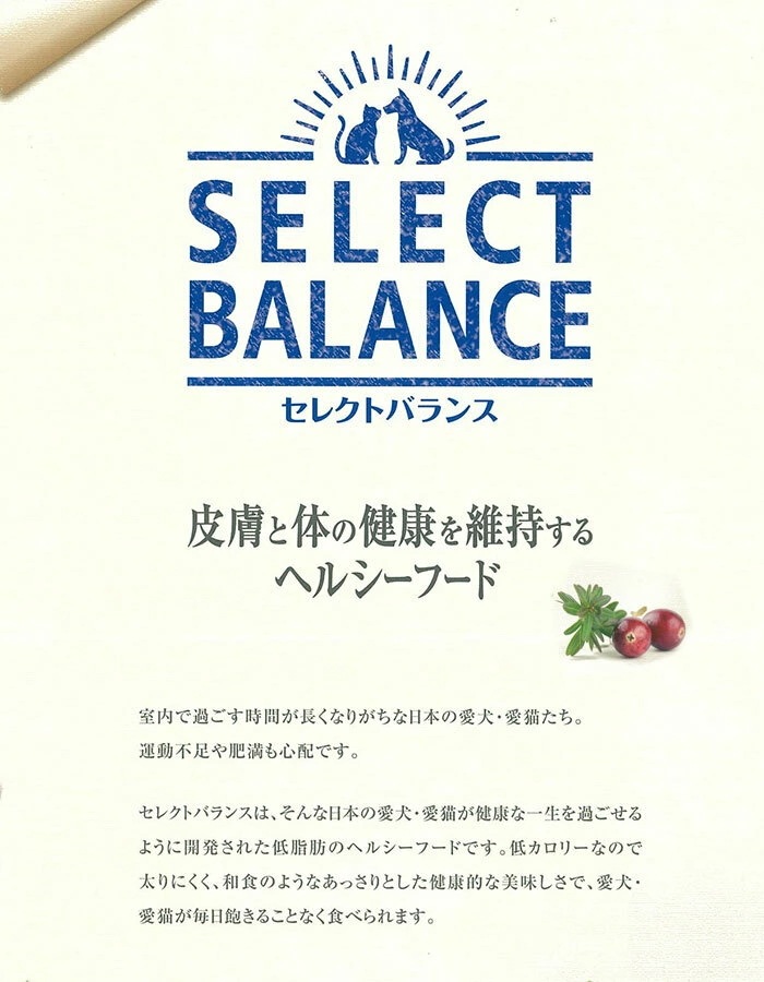スリム ラム 小粒 成犬 体重管理用 3kg 正規品 ドッグフード ドライフード 犬のごはん 犬