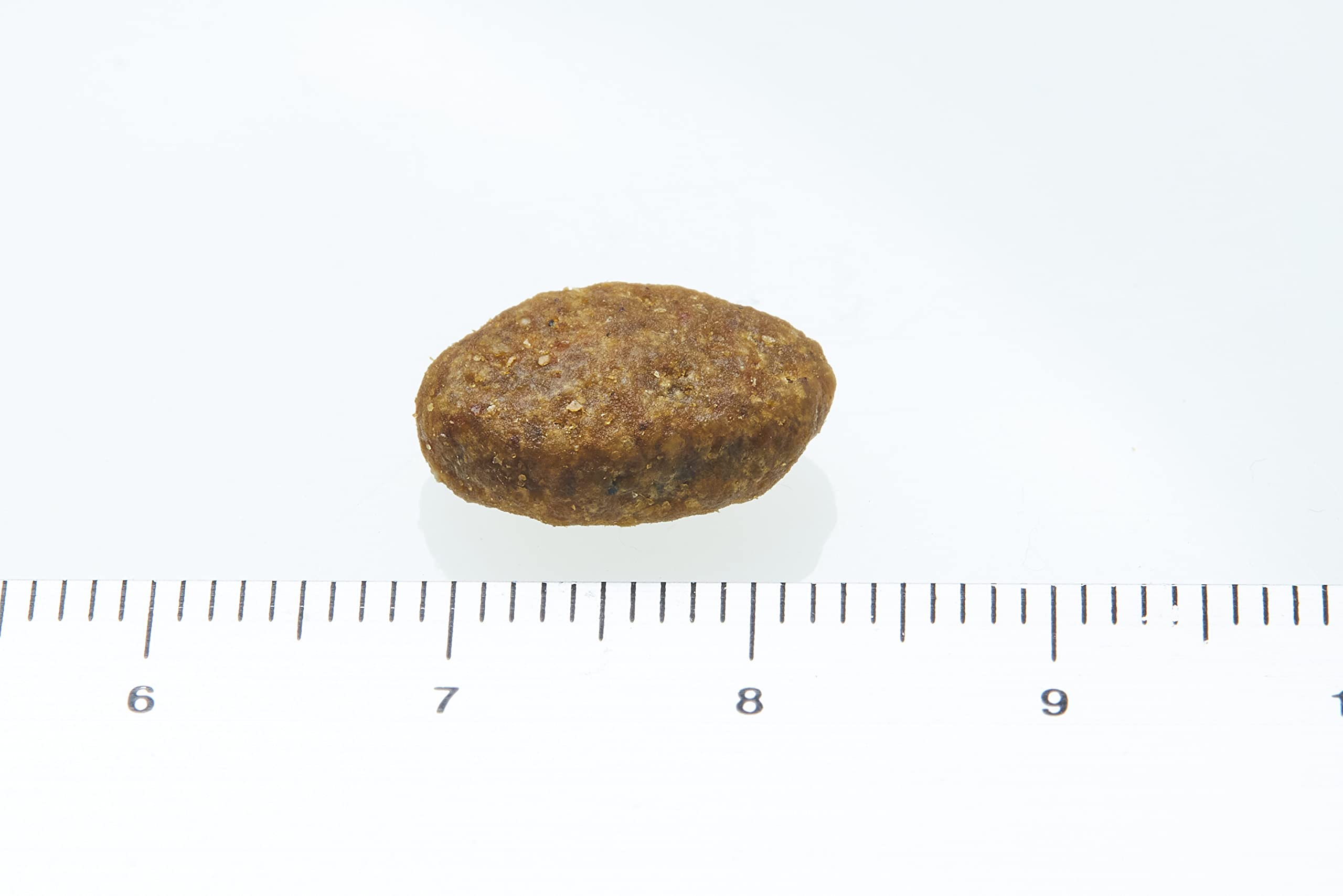 シュプレモ 超小型犬~小型犬用 成犬用 プレミアムブレンド ビーフ 1.5kg ドライフード 小粒 総合栄養食 ドッグフード 犬 グレインフリー 穀物フリー フリーズドライ入り 厳選自然素 シュプレモ 超小型犬~小型犬用 成犬用 プレミアムブレンド ビーフ 1.5kg ドライフード 小粒 総合栄養食 ドッグフード 犬 グレインフリー 穀物フリー フリーズドライ入り 厳選自然素