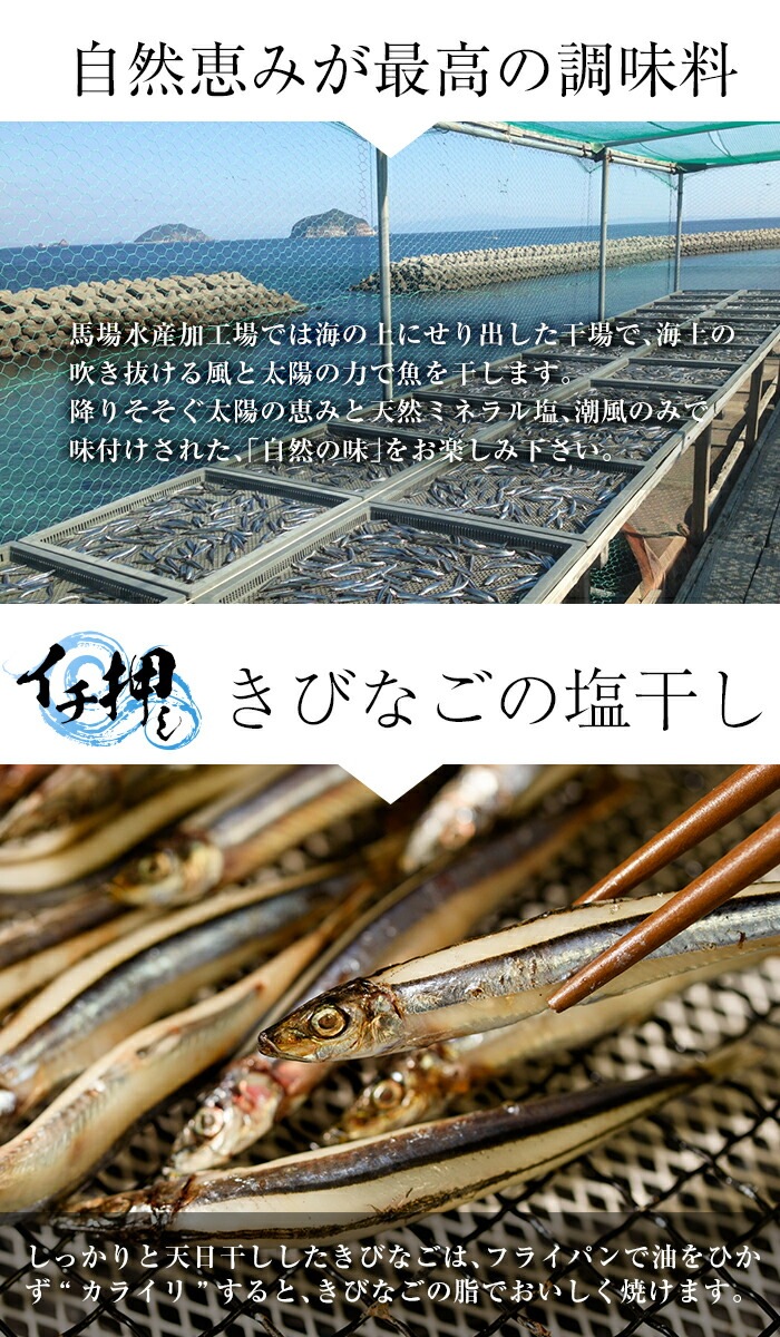 ギフト 甑島の海鮮詰め合わせ(あおさ)海鮮詰め合わせ 干物 天日干し 塩干し 国産 鹿児島産 キビナゴ アジ カマス アオサ さつま揚げ 贈り物 お歳暮 御歳暮 応援 食品ロス 福袋 訳あり 在庫処分 ギフト 甑島の海鮮詰め合わせ(あおさ)海鮮詰め合わせ 干物 天日干し 塩干し 国産 鹿児島産 キビナゴ アジ カマス アオサ さつま揚げ 贈り物 お歳暮 御歳暮 応援 食品ロス 福袋 訳あり 在庫処分