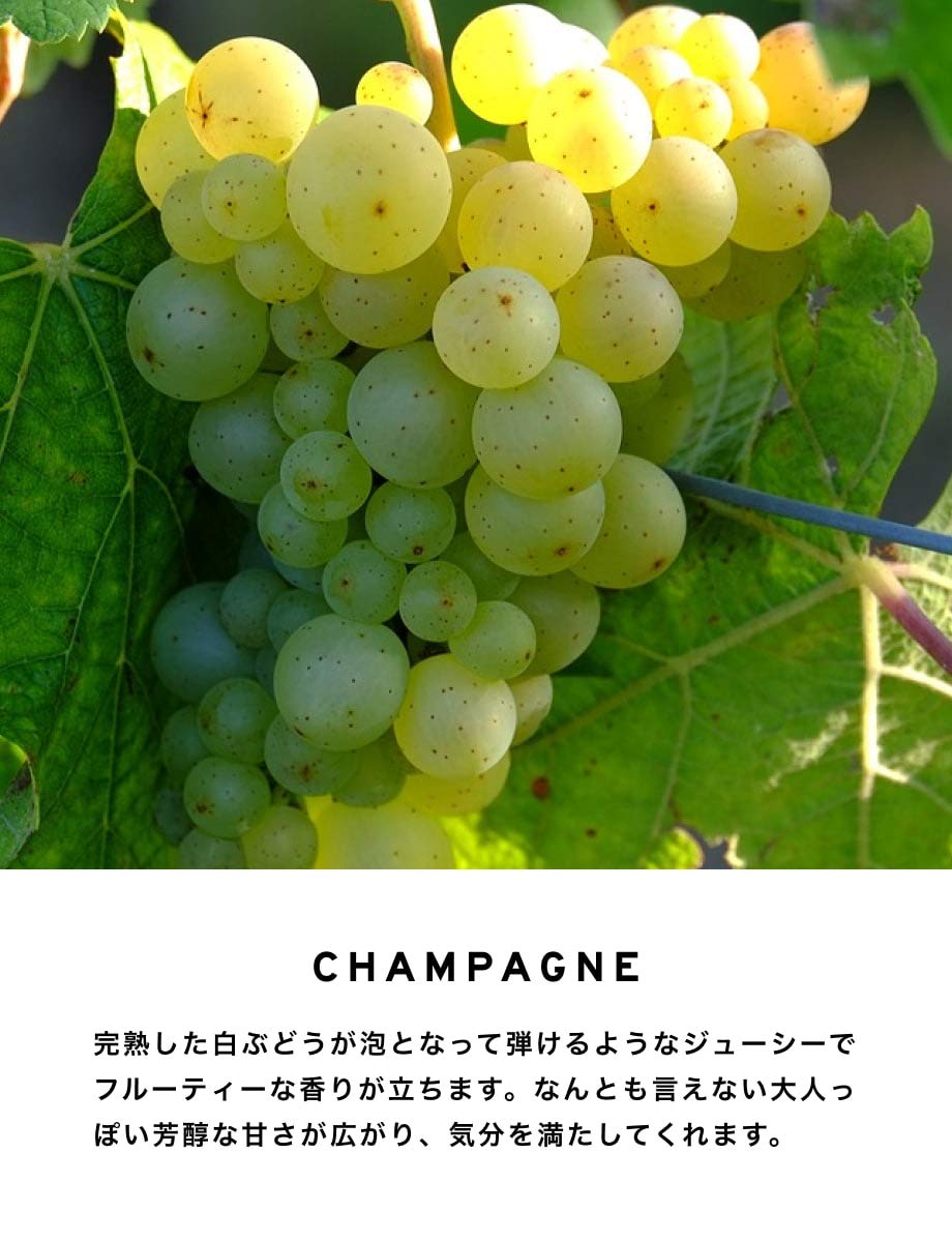 レイヤードフレグランス ボディスプレー シャンパン 10ml