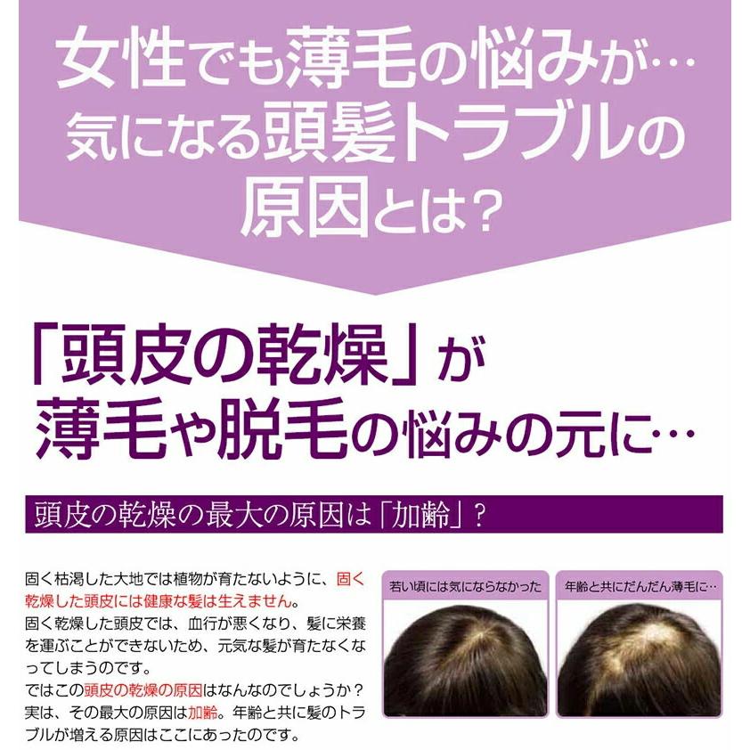 リフレ 夢美髪 150ml 2本セット 薬用育毛剤 脱毛 ふけ かゆみ パッケージリニューアルしました
