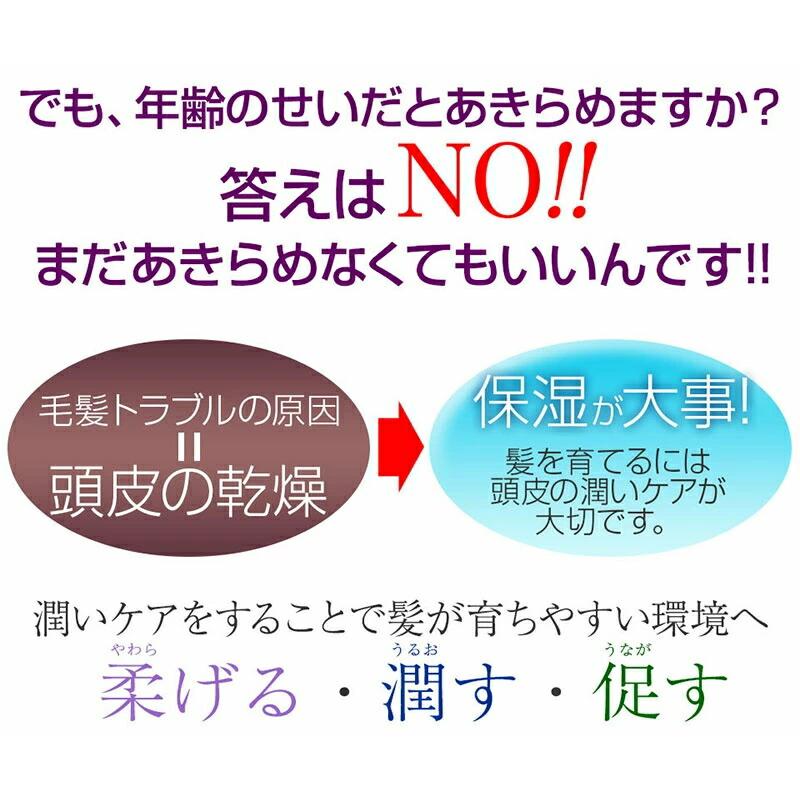 リフレ 夢美髪 150ml 2本セット 薬用育毛剤 脱毛 ふけ かゆみ パッケージリニューアルしました