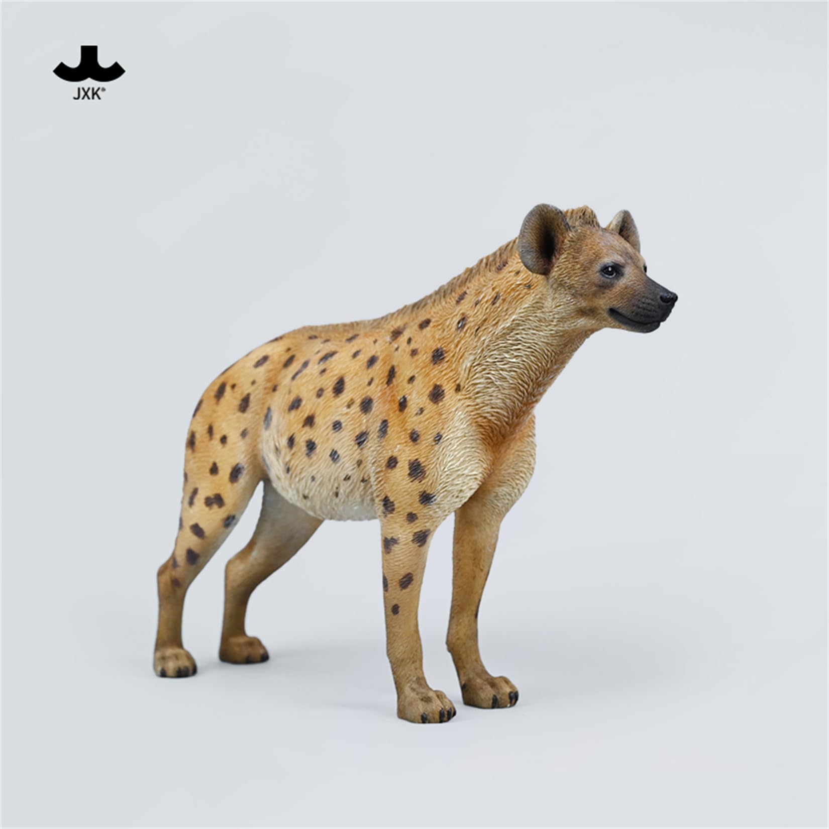 JXK 1/6 サイズ ブチハイエナ 斑鬣犬 哺乳綱 食肉目 ハイエナ科 可愛い 動物 リアル フィギュア 樹脂 プラモデル 模型 21.5cm級 完成品 動物好き 置物