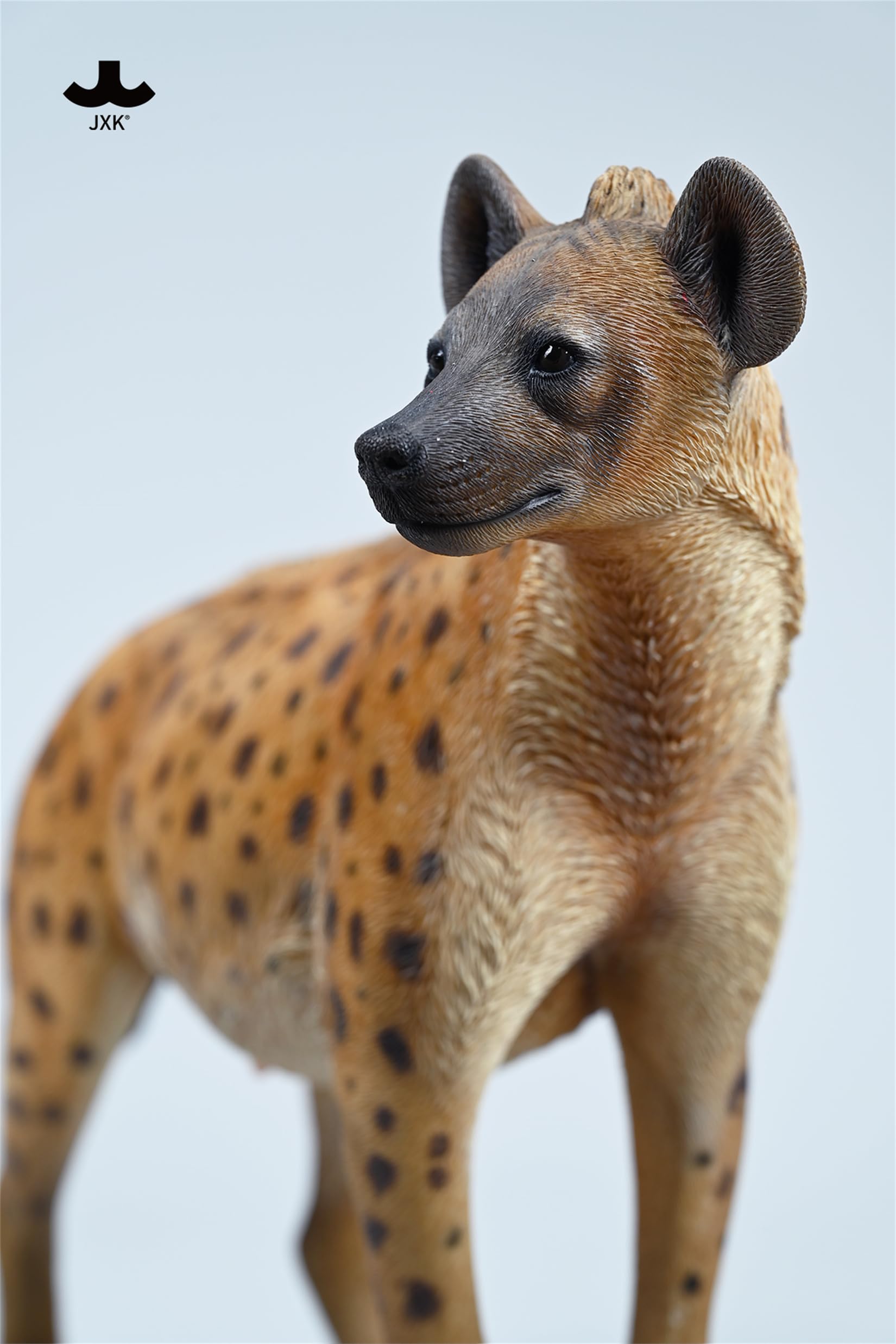 JXK 1/6 サイズ ブチハイエナ 斑鬣犬 哺乳綱 食肉目 ハイエナ科 可愛い 動物 リアル フィギュア 樹脂 プラモデル 模型 21.5cm級 完成品 動物好き 置物
