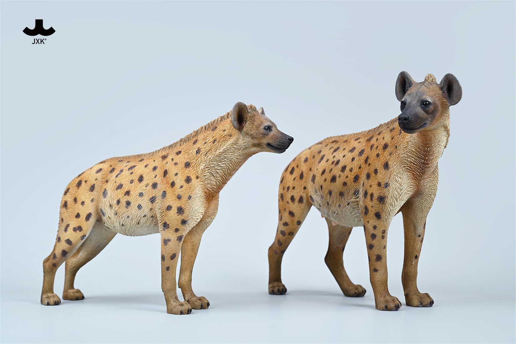 JXK 1/6 サイズ ブチハイエナ 斑鬣犬 哺乳綱 食肉目 ハイエナ科 可愛い 動物 リアル フィギュア 樹脂 プラモデル 模型 21.5cm級 完成品 動物好き 置物