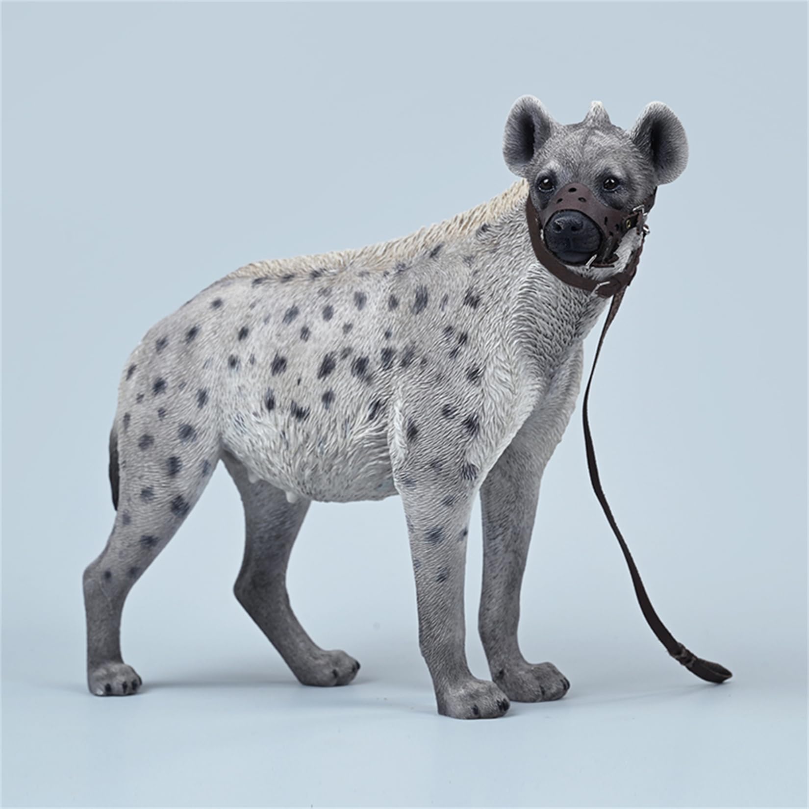 JXK 1/6 サイズ ブチハイエナ 斑鬣犬 哺乳綱 食肉目 ハイエナ科 可愛い 動物 リアル フィギュア 樹脂 プラモデル 模型 21.5cm級 完成品 動物好き 置物