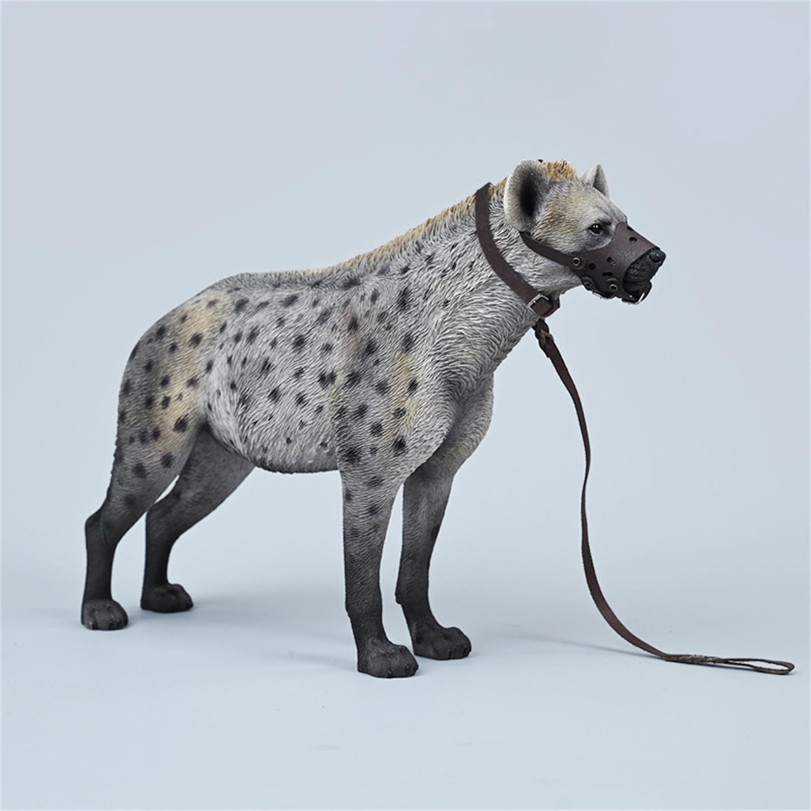JXK 1/6 サイズ ブチハイエナ 斑鬣犬 哺乳綱 食肉目 ハイエナ科 可愛い 動物 リアル フィギュア 樹脂 プラモデル 模型 21.5cm級 完成品 動物好き 置物