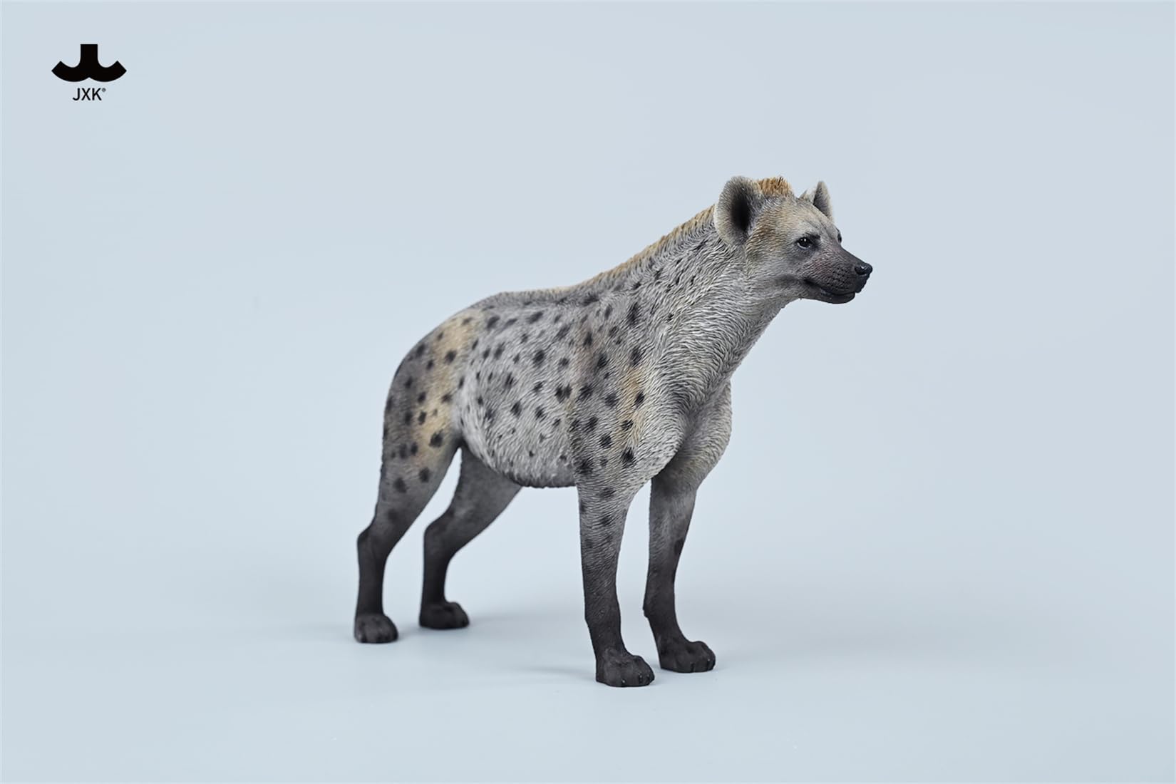 JXK 1/6 サイズ ブチハイエナ 斑鬣犬 哺乳綱 食肉目 ハイエナ科 可愛い 動物 リアル フィギュア 樹脂 プラモデル 模型 21.5cm級 完成品 動物好き 置物