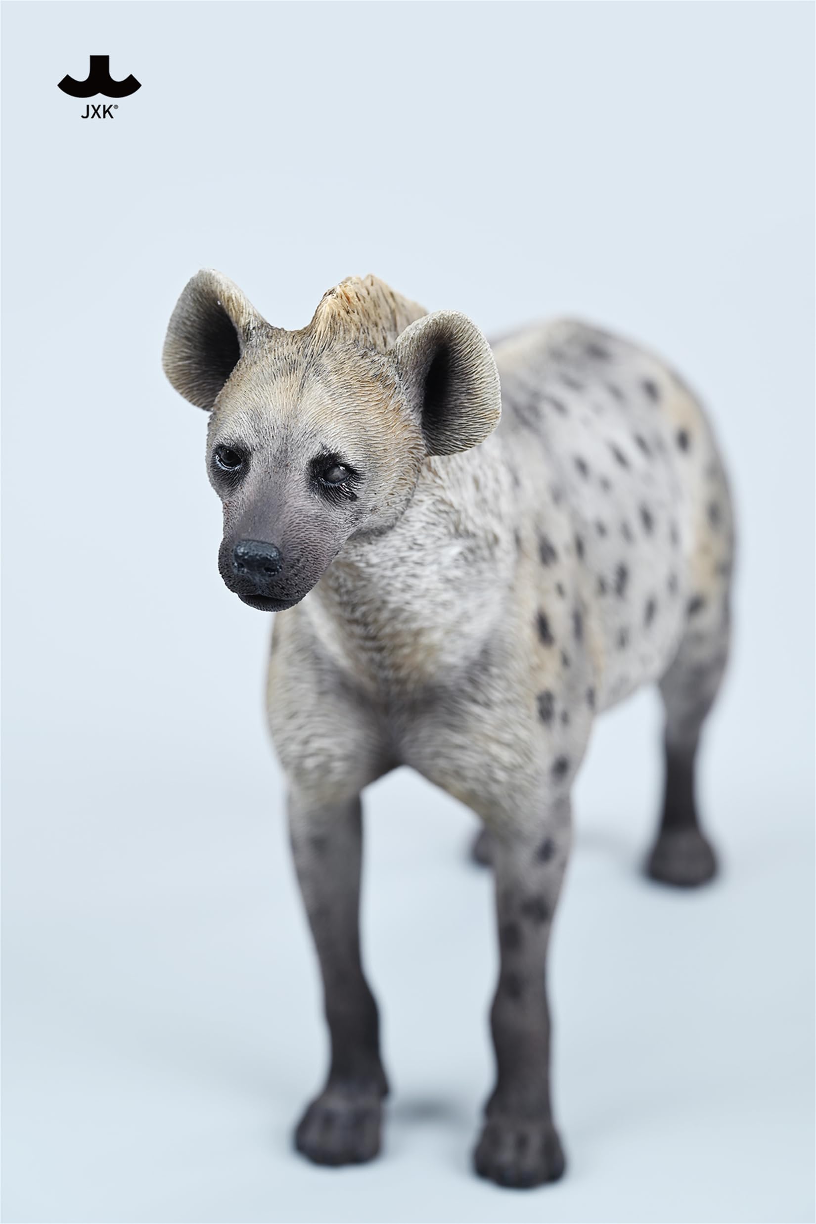 JXK 1/6 サイズ ブチハイエナ 斑鬣犬 哺乳綱 食肉目 ハイエナ科 可愛い 動物 リアル フィギュア 樹脂 プラモデル 模型 21.5cm級 完成品 動物好き 置物