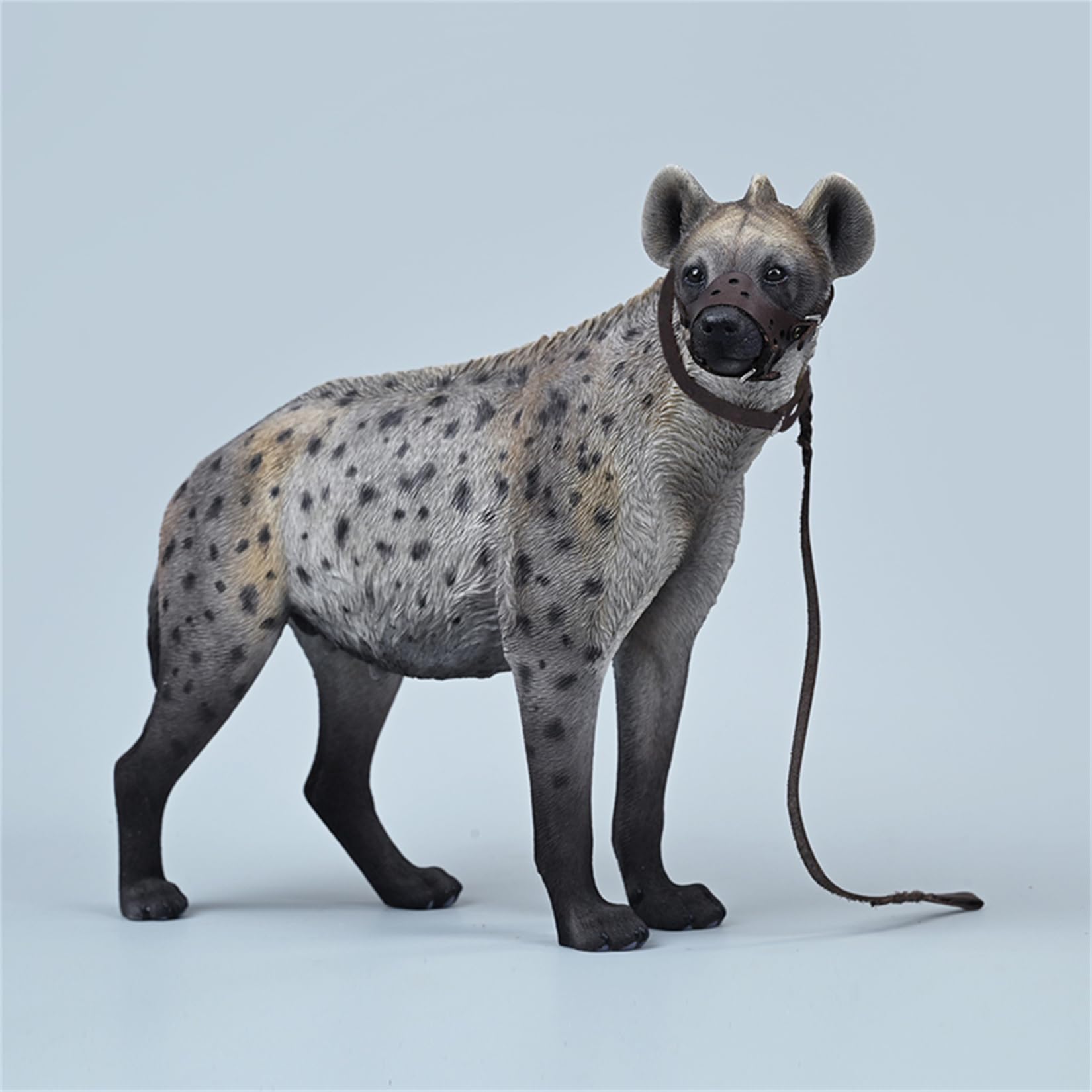 JXK 1/6 サイズ ブチハイエナ 斑鬣犬 哺乳綱 食肉目 ハイエナ科 可愛い 動物 リアル フィギュア 樹脂 プラモデル 模型 21.5cm級 完成品 動物好き 置物
