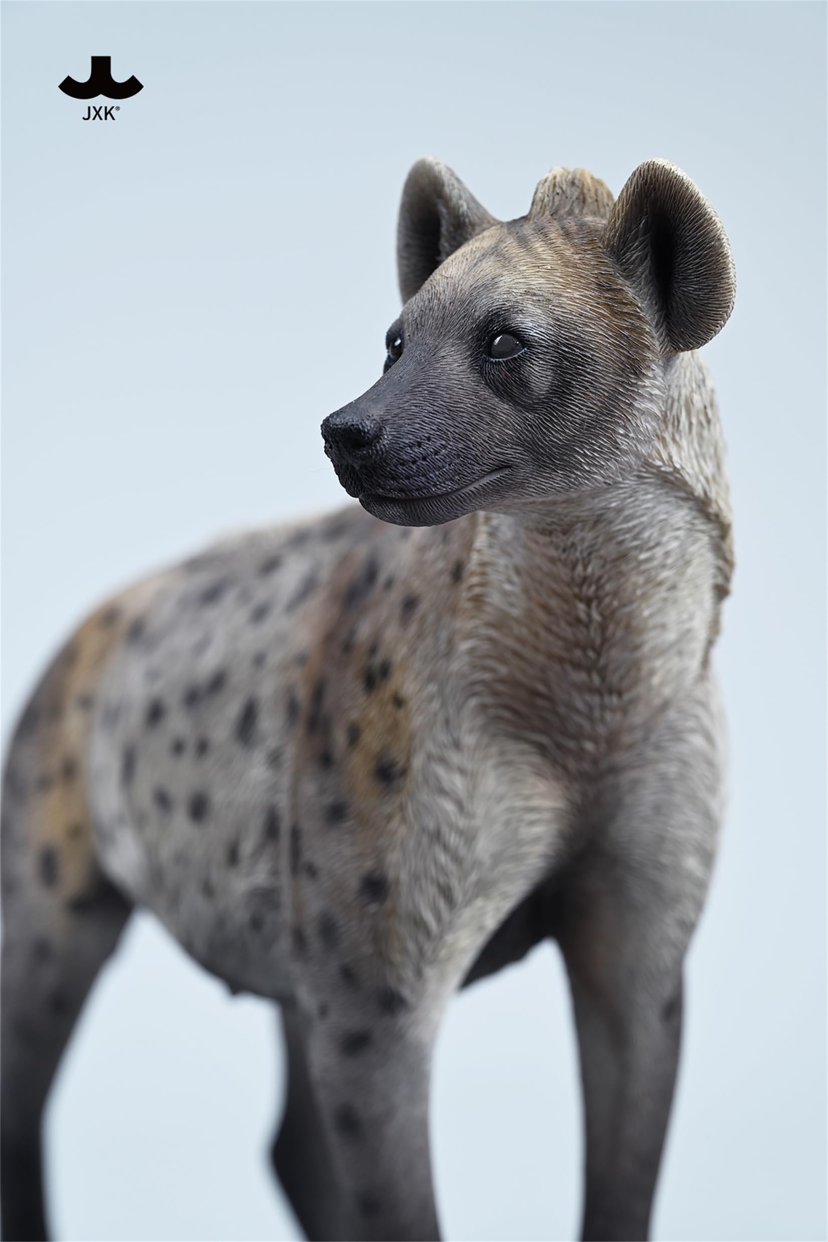 JXK 1/6 サイズ ブチハイエナ 斑鬣犬 哺乳綱 食肉目 ハイエナ科 可愛い 動物 リアル フィギュア 樹脂 プラモデル 模型 21.5cm級 完成品 動物好き 置物