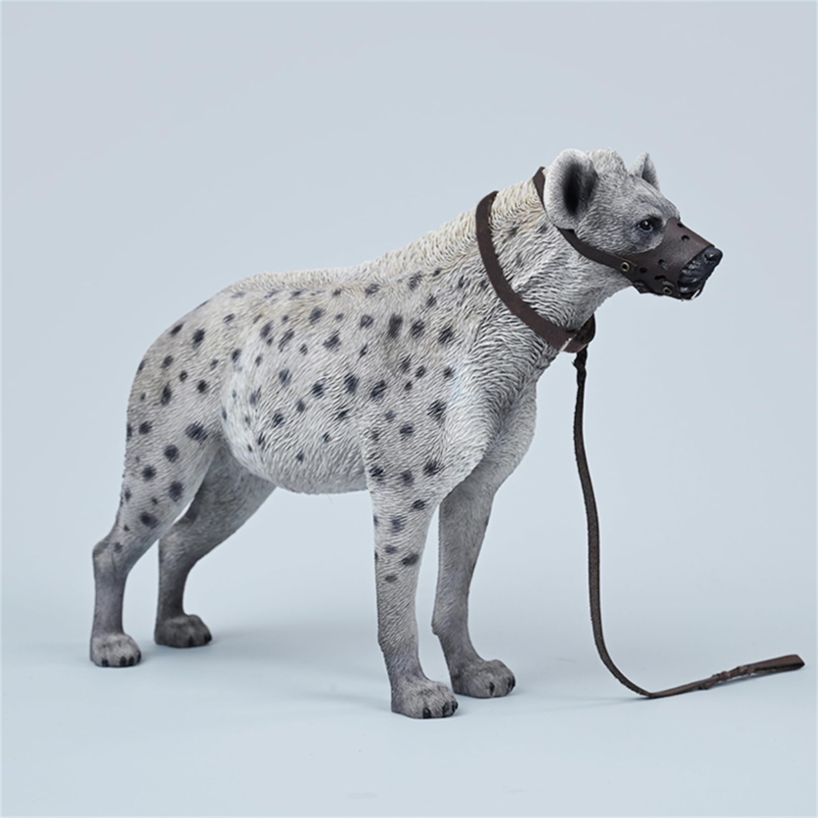 JXK 1/6 サイズ ブチハイエナ 斑鬣犬 哺乳綱 食肉目 ハイエナ科 可愛い 動物 リアル フィギュア 樹脂 プラモデル 模型 21.5cm級 完成品 動物好き 置物