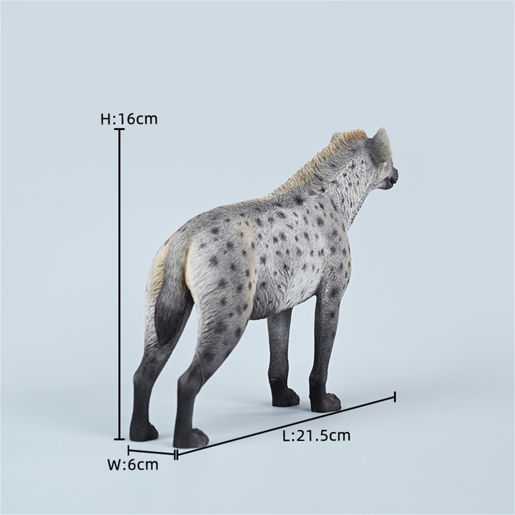 JXK 1/6 サイズ ブチハイエナ 斑鬣犬 哺乳綱 食肉目 ハイエナ科 可愛い 動物 リアル フィギュア 樹脂 プラモデル 模型 21.5cm級 完成品 動物好き 置物