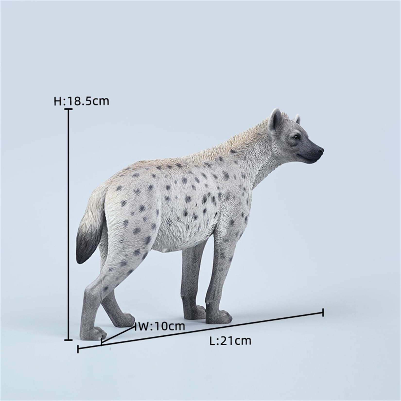 JXK 1/6 サイズ ブチハイエナ 斑鬣犬 哺乳綱 食肉目 ハイエナ科 可愛い 動物 リアル フィギュア 樹脂 プラモデル 模型 21.5cm級 完成品 動物好き 置物