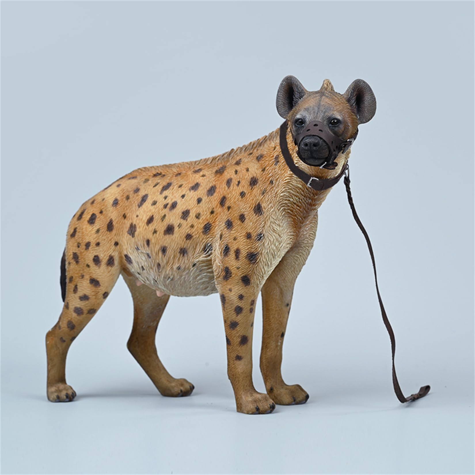 JXK 1/6 サイズ ブチハイエナ 斑鬣犬 哺乳綱 食肉目 ハイエナ科 可愛い 動物 リアル フィギュア 樹脂 プラモデル 模型 21.5cm級 完成品 動物好き 置物