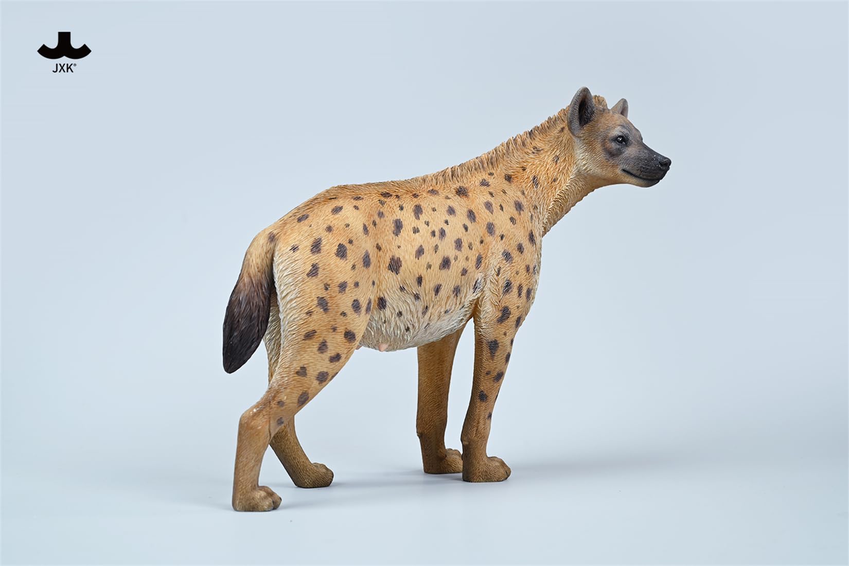 JXK 1/6 サイズ ブチハイエナ 斑鬣犬 哺乳綱 食肉目 ハイエナ科 可愛い 動物 リアル フィギュア 樹脂 プラモデル 模型 21.5cm級 完成品 動物好き 置物