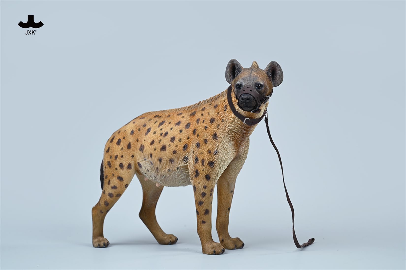 JXK 1/6 サイズ ブチハイエナ 斑鬣犬 哺乳綱 食肉目 ハイエナ科 可愛い 動物 リアル フィギュア 樹脂 プラモデル 模型 21.5cm級 完成品 動物好き 置物