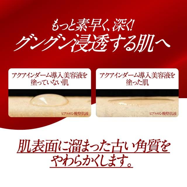 アクアインダーム 導入エッセンスEX 100ml 公式 高保湿 乾燥 紫外線 毛穴ケア 敏感肌 スキンケア オールインワン 導入 美容液 化粧水 乳液 保湿 導入化粧水 ギフト プレゼント アクアインダーム 導入エッセンスEX 100ml 公式 高保湿 乾燥 紫外線 毛穴ケア 敏感肌 スキンケア オールインワン 導入 美容液 化粧水 乳液 保湿 導入化粧水 ギフト プレゼント