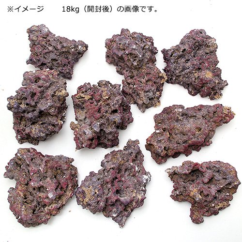 カミハタ カリブシー ライフロック シェルフ 18.0kg バクテリア付き CRC10―35―90―30―00 カミハタ カリブシー ライフロック シェルフ 18.0kg バクテリア付き CRC10―35―90―30―00